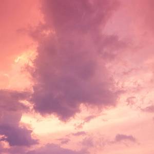 中文字幕无码久久综合
