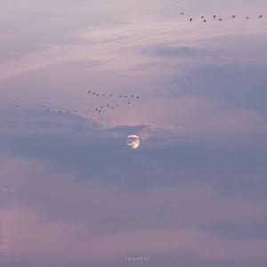 中文字幕无码久久综合
