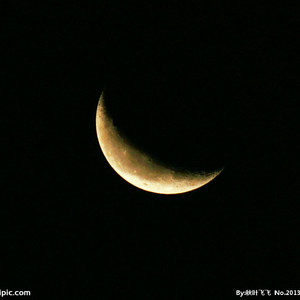 中文字幕无码久久综合
